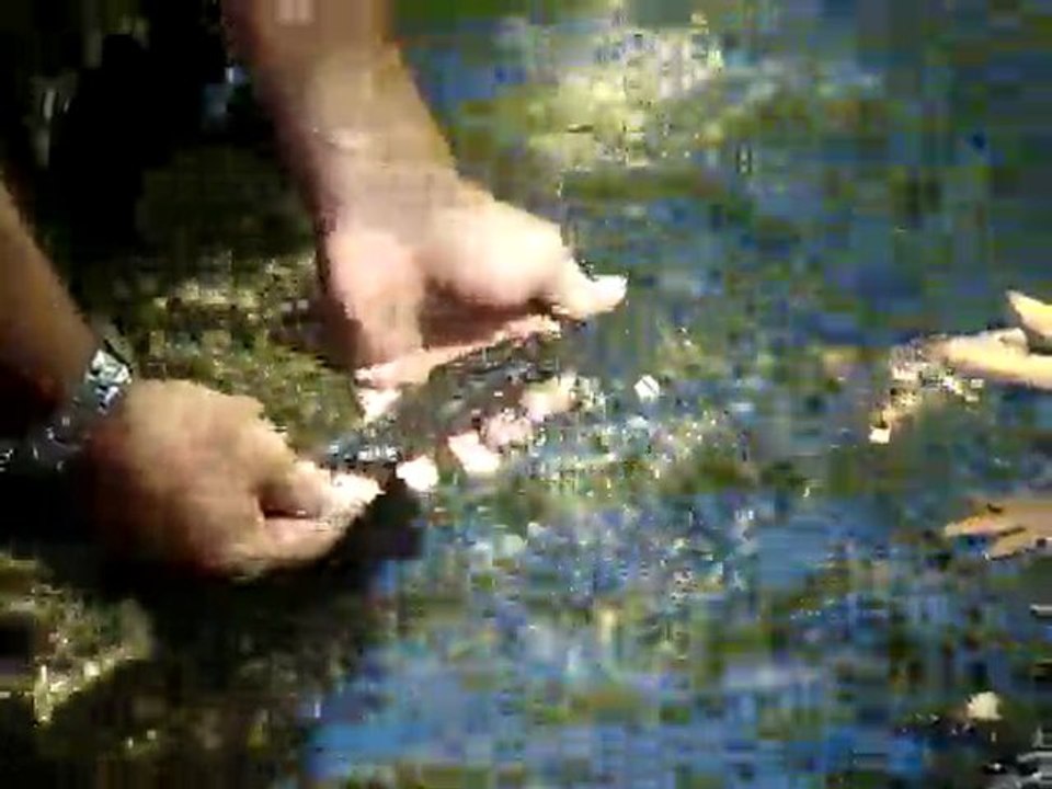 Küçük veya ihtiyaç fazlası ise suyuna iade edelim