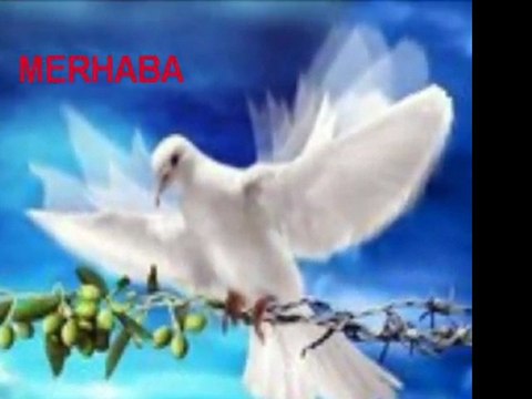 Tayfun Talipoğlu,Mustafa Özarslan Zülfü Livaneli (MERHABA)