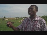 Action farming in the city, Accra 2011, Shortened version