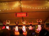 Danses Sévillanes et Flamenco à Palavas