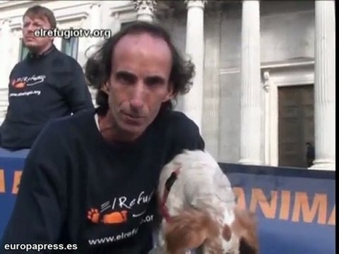 Aumentarán las condenas por maltrato animal