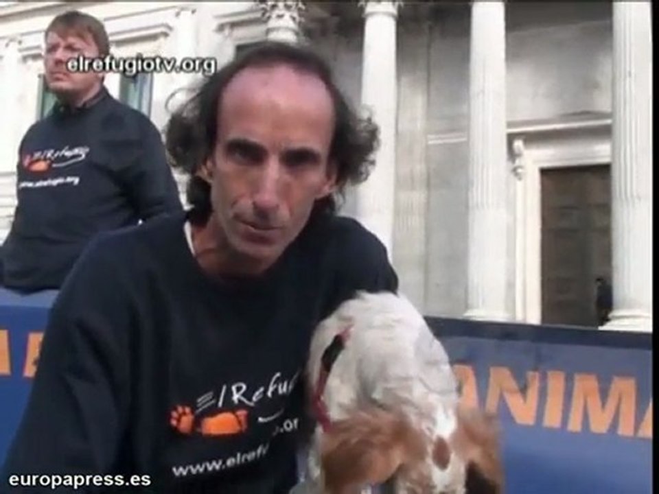 Aumentarán las condenas por maltrato animal