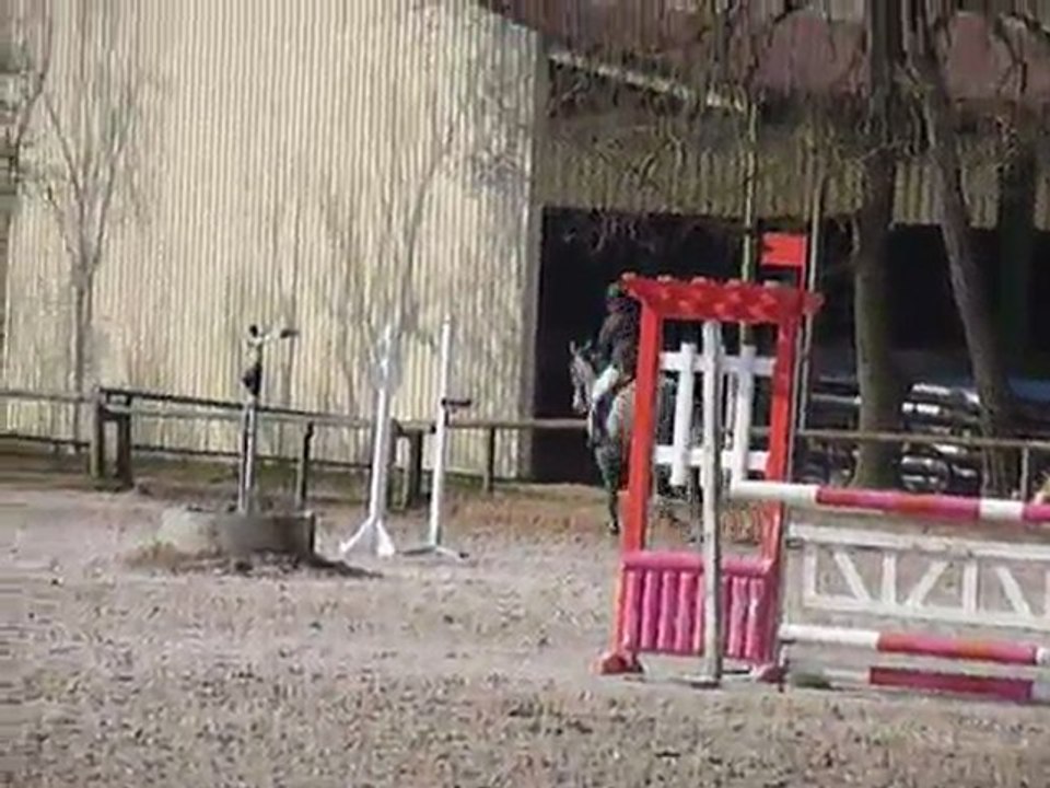 Quafé Crem de Baudry - Parcours 5 ans B - Barbizon