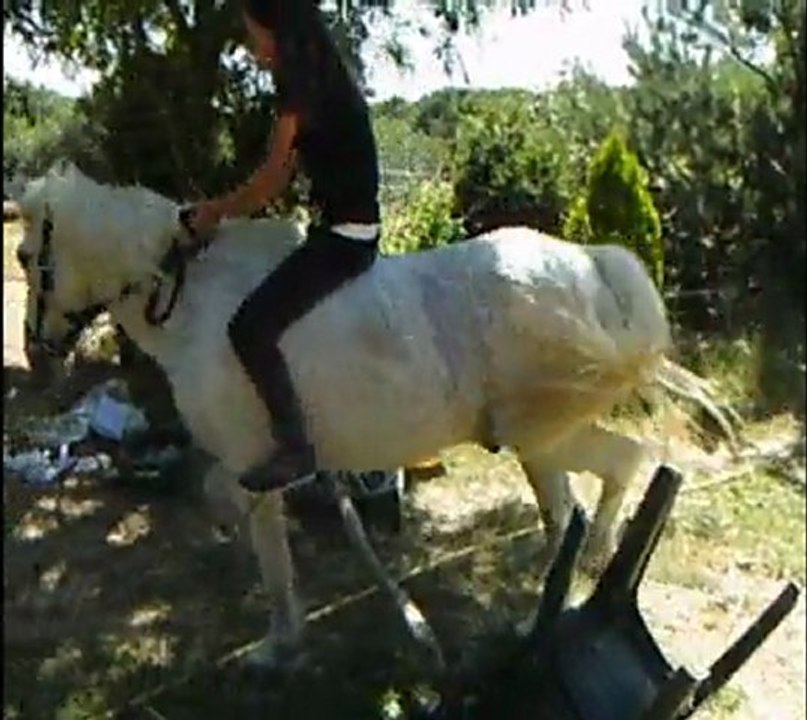 Montage avec Kyproko Gaelle