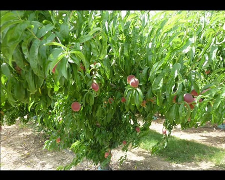 Les Ramières du Val Drôme(26 Drôme)