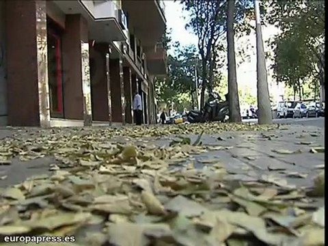 Barcelona en alerta por fuertes vientos