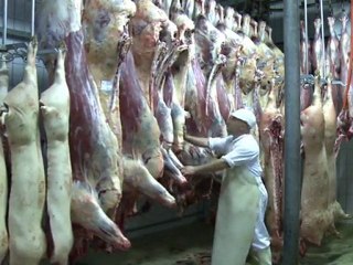 Drought casts pall on French livestock industry