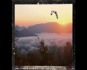 Elmas Balım Çalışmaları (Gesi Bağları)