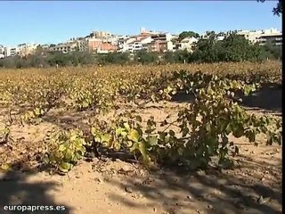 Piden castigo para agresor de sus hijos