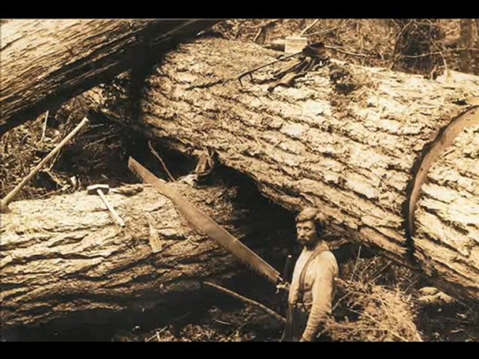 Old Lumberjack Pictures