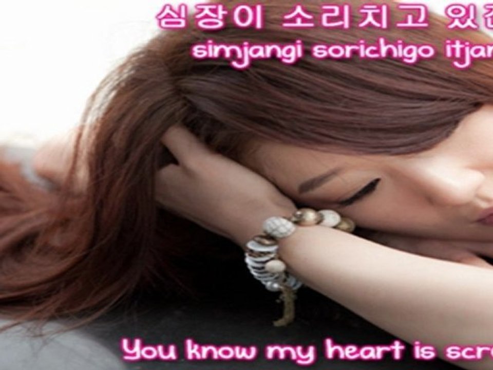 Navi - I can feel it [English subs + Romanization + Hangul] HD