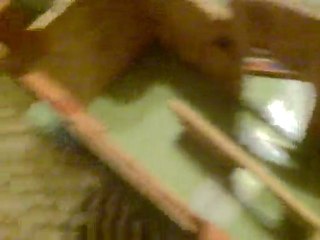 my Thomas The Tank Engine wooden railway layout