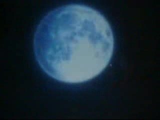 Silver Fang Hard Rock Hallelujah