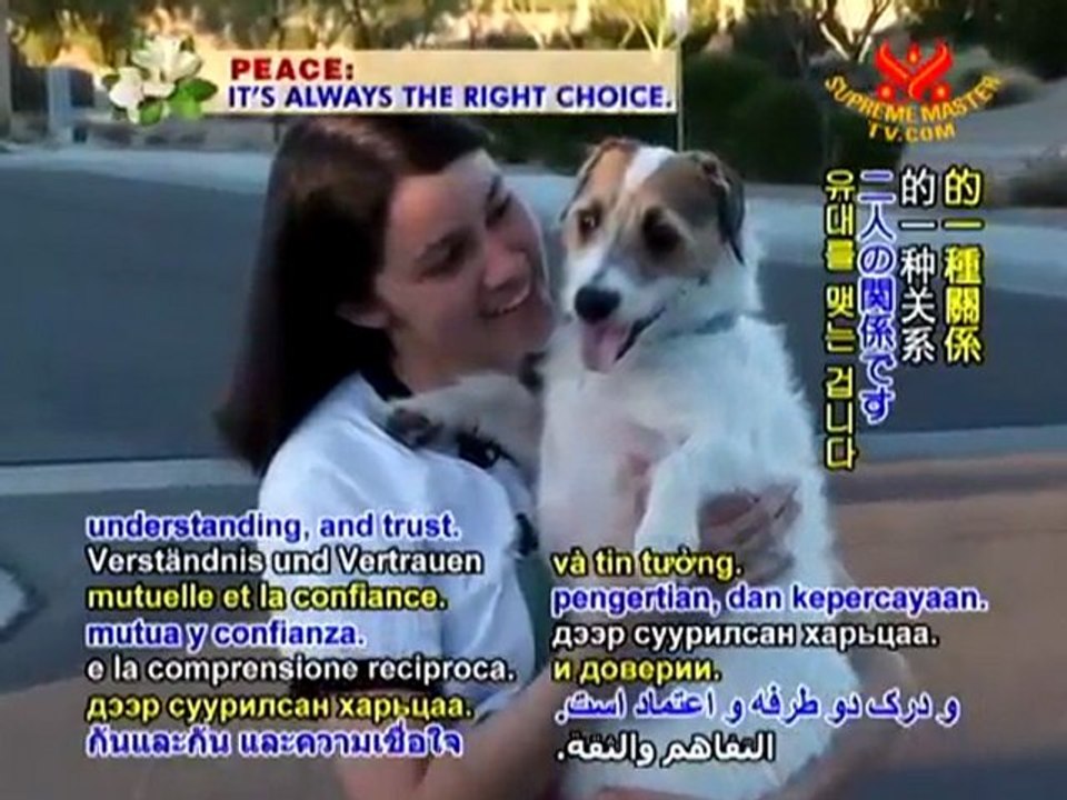 Jesse, the Incredible Jack Russell Terrier, and Family, P1/2