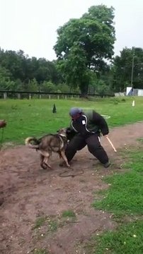 FLY de la branche du moulin IMG_0728