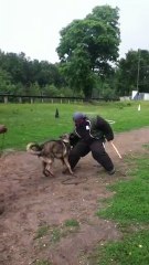 FLY de la branche du moulin IMG_0728