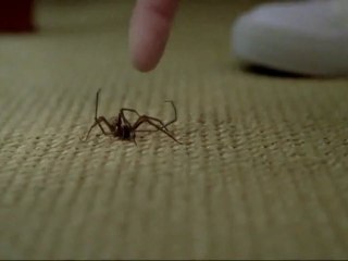 Mentos Rainbow Spider Commercial HD