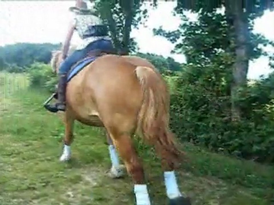1er galop1