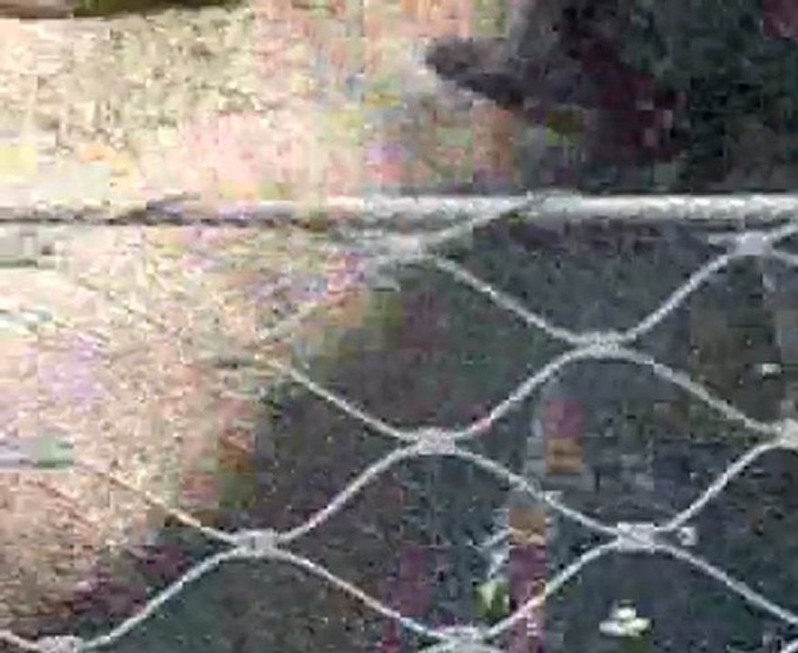 La planète aux crocodiles : le repas