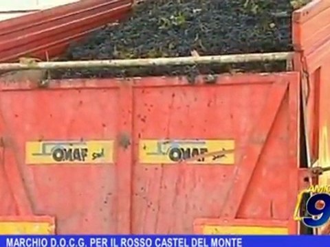 Marchio D.O.C.G. per il rosso Castel del Monte