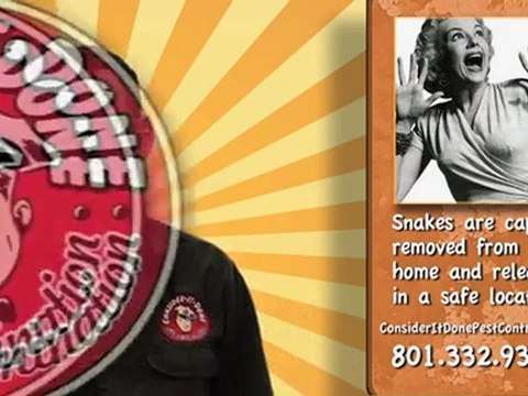 Pest Control Layton - How Do You Handle Rattlesnakes