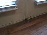 Houston Home Inspector: Water Damaged Wood Flooring at Exterior Doors