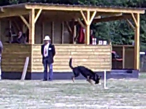 DIXIE des Côteaux du Lys