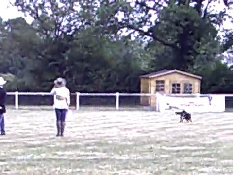 DIXIE des Côteaux du Lys