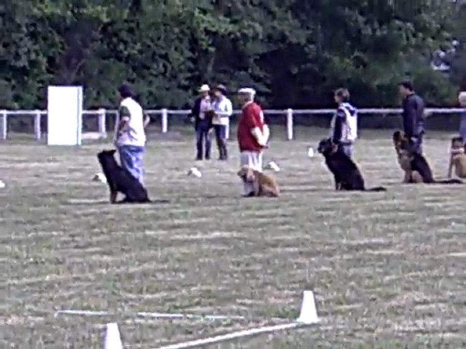 DIXIE des Côteaux du Lys