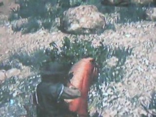 VIDEO DELIRE : red dead redemption