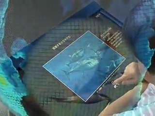 Giant OLED Globe Displays Geo-Cosmos