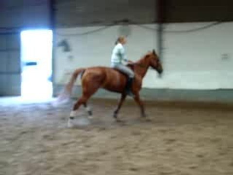 Galop main droite