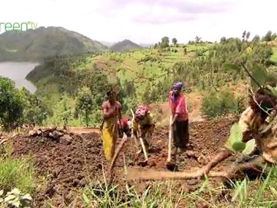 Rwanda - Back to the Garden