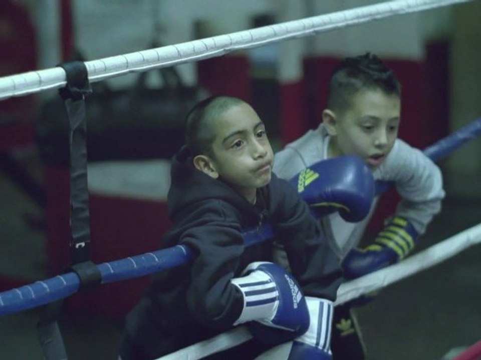 Adidas - boxing