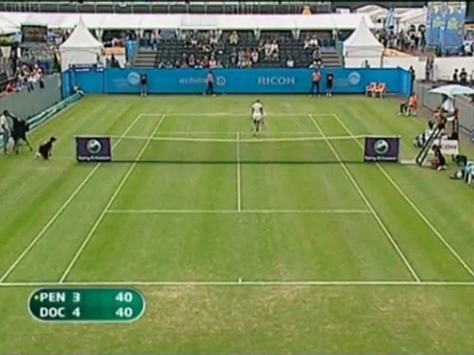 Hertogenbosch - Dokic wirft Pennetta raus