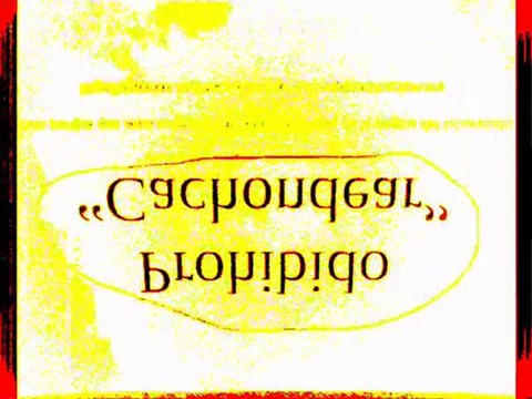 imagenes graciosas parte 2 extra de letreros estupidos