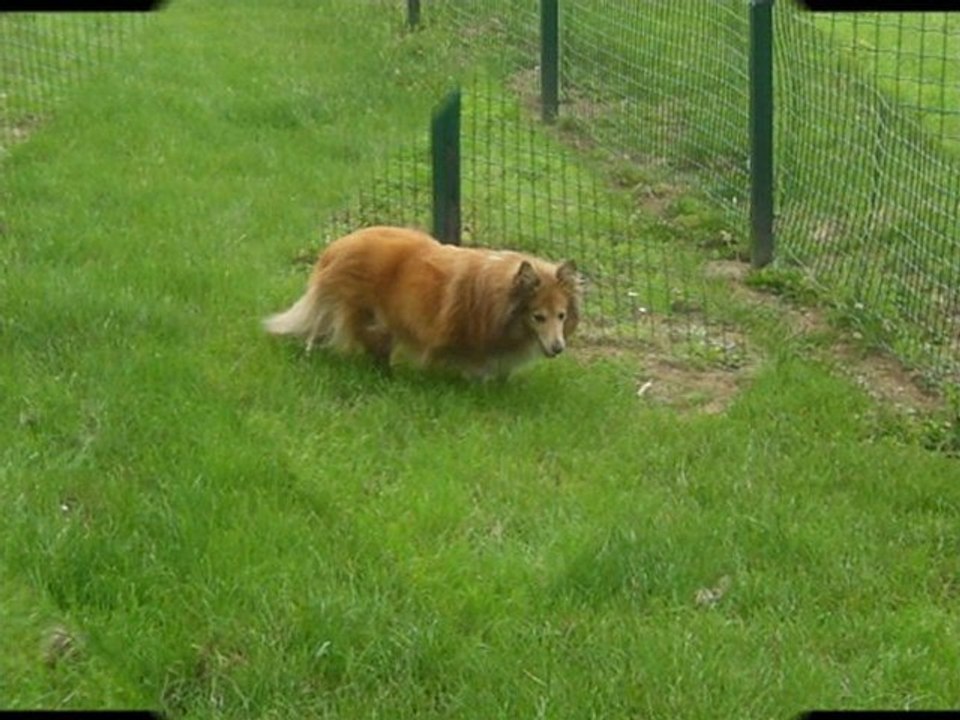 Diapo photos de Snooka le 13 06 11