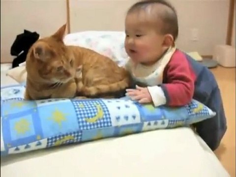 Baby Bites Cat's Tail