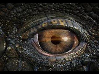 Sea Rex 3D Movie Trailers HD