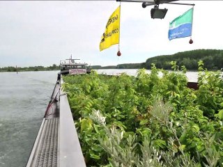 Nature Capitale Lyon Pixilation Peniche