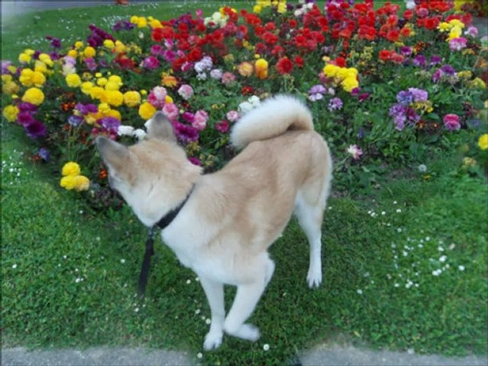 Emeraude et Tess le 19 04 2011