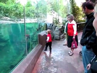 Boy Runs Along With Otter