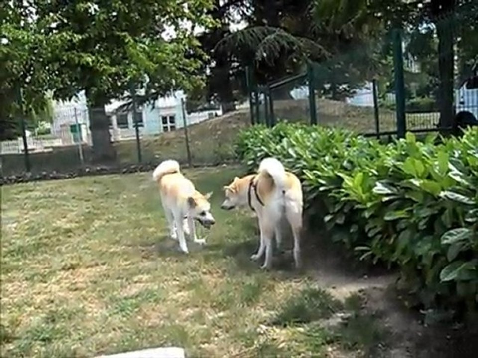 Tess et Emeraude le 27 05 2011