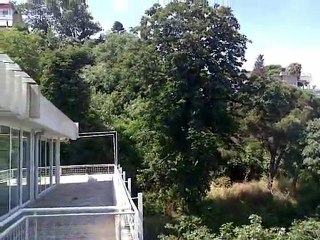 Bebek boğaz ve koru manzaralı teras katı