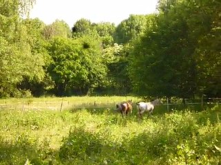 15 juin 2011 004