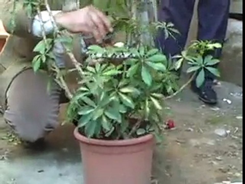 Enğerek Yılanı İle Olan Videom İzleyin Ve Görün