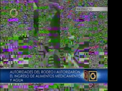 Insumos para Rodeo I