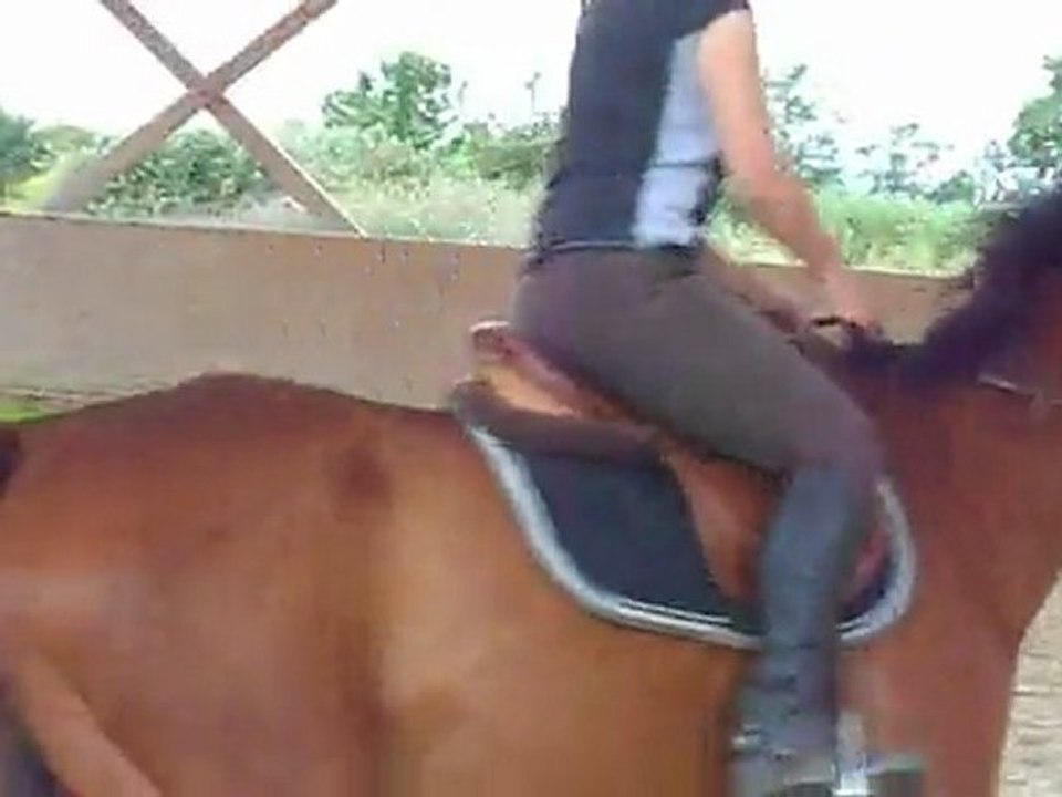DSCN0151