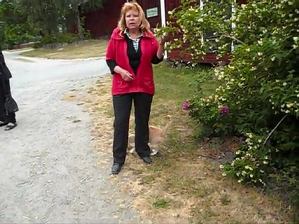 Film på hemresan av Annies caferesa 14 Juni - 11.