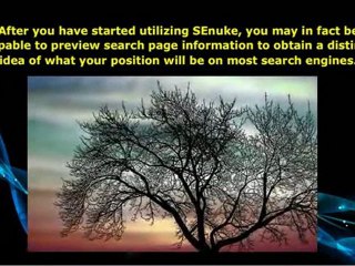 SeNuke X Download Could Improve Your Search Rankings...